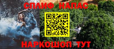 стаф Кулебаки