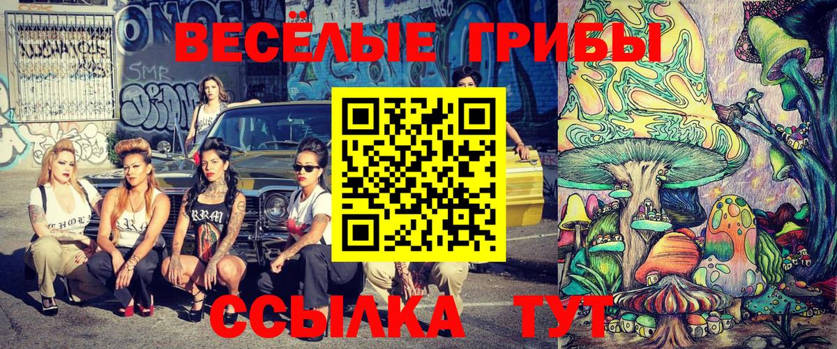 Галлюциногенные грибы Magic Shrooms Гатчина