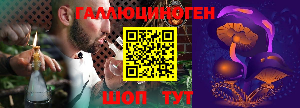 Псилоцибиновые грибы GOLDEN TEACHER  Псилоцибиновые грибы прущие грибы  Вход с VPN  Гатчина 